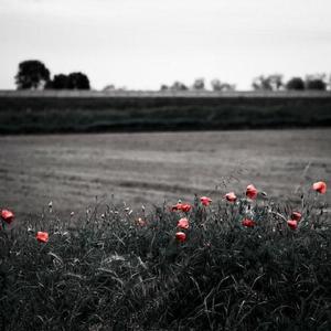 娜娜寸止榨精ThePorn
