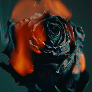 娜娜寸止榨精ThePorn
